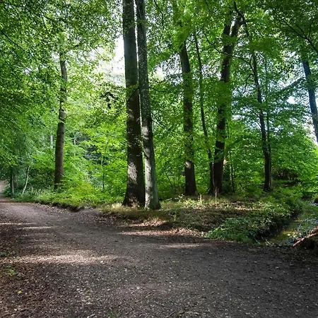 Ostseecamp Lübecker Bucht Aquamarin Ferienhaus Scharbeutz