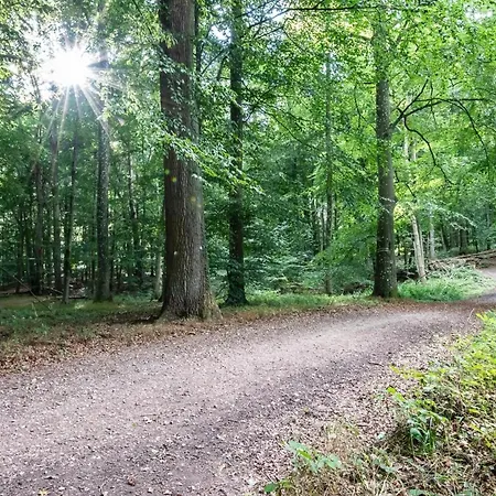 Hébergement de vacances Ferienhaeuser Luebecker Bucht Aquamarin Haffkrug